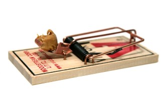 mouse trap