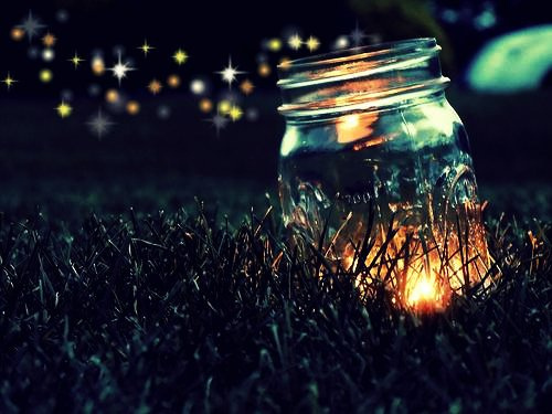 fireflies2
