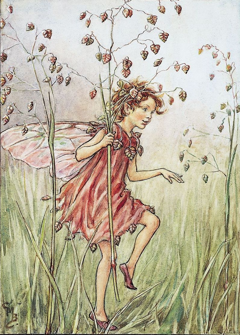fairy in the grass