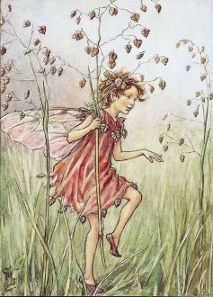 fairy in the grass
